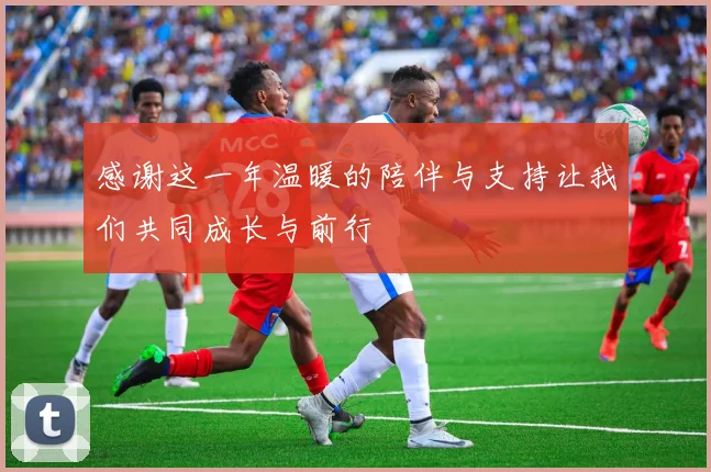 感谢这一年温暖的陪伴与支持让我们共同成长与前行